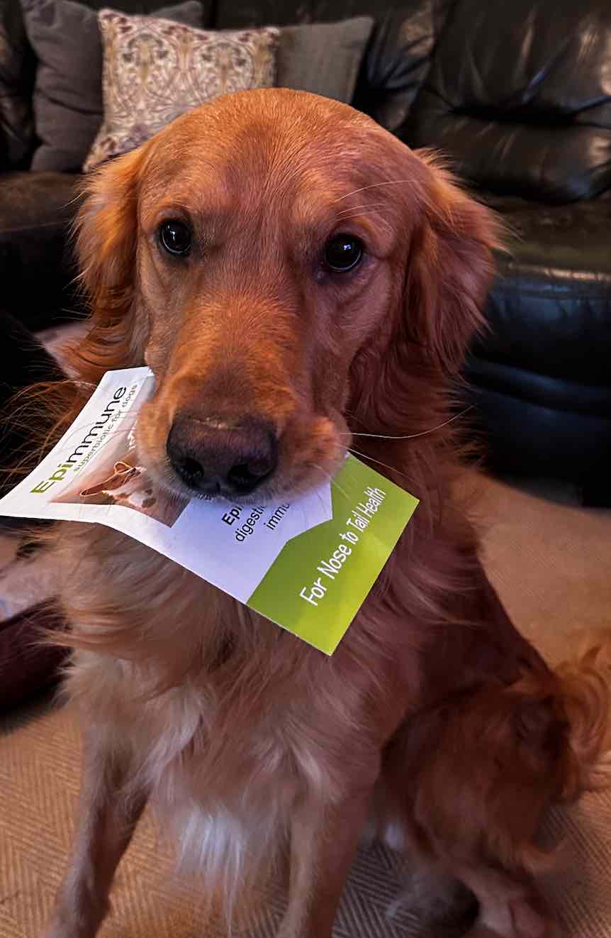 Epimmune - Working Wonders