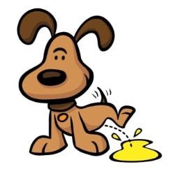 Canine UTI and Bladder Infection Support from Ace Canine Healthcare