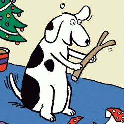 New Year's Thoughts - if your dog could write...