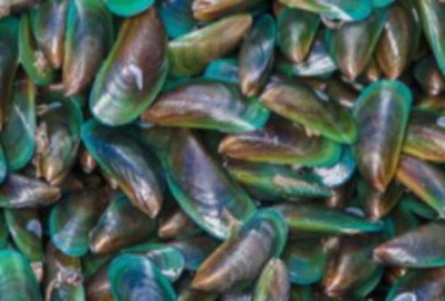 Green Lipped Mussel Dosage