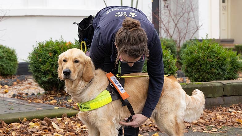 A Portion of Pudding News