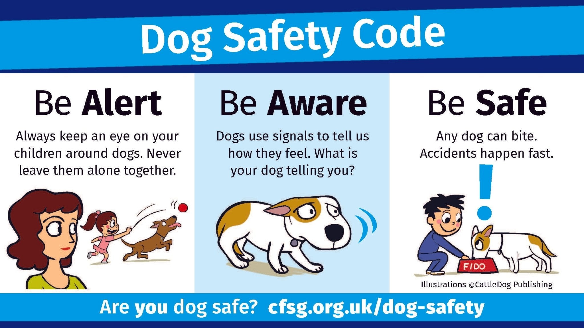 Dog Safety Code
