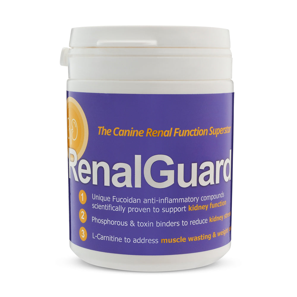 New Product Launch