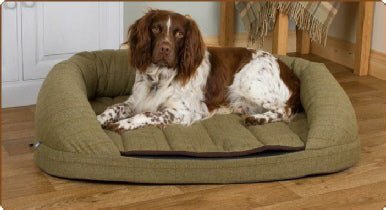 Dog beds For The Elderly - Magnetic or Orthopaedic?