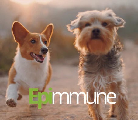 New Product Launch  ⭐️ Epimmune Superbiotic ⭐️ for Dogs
