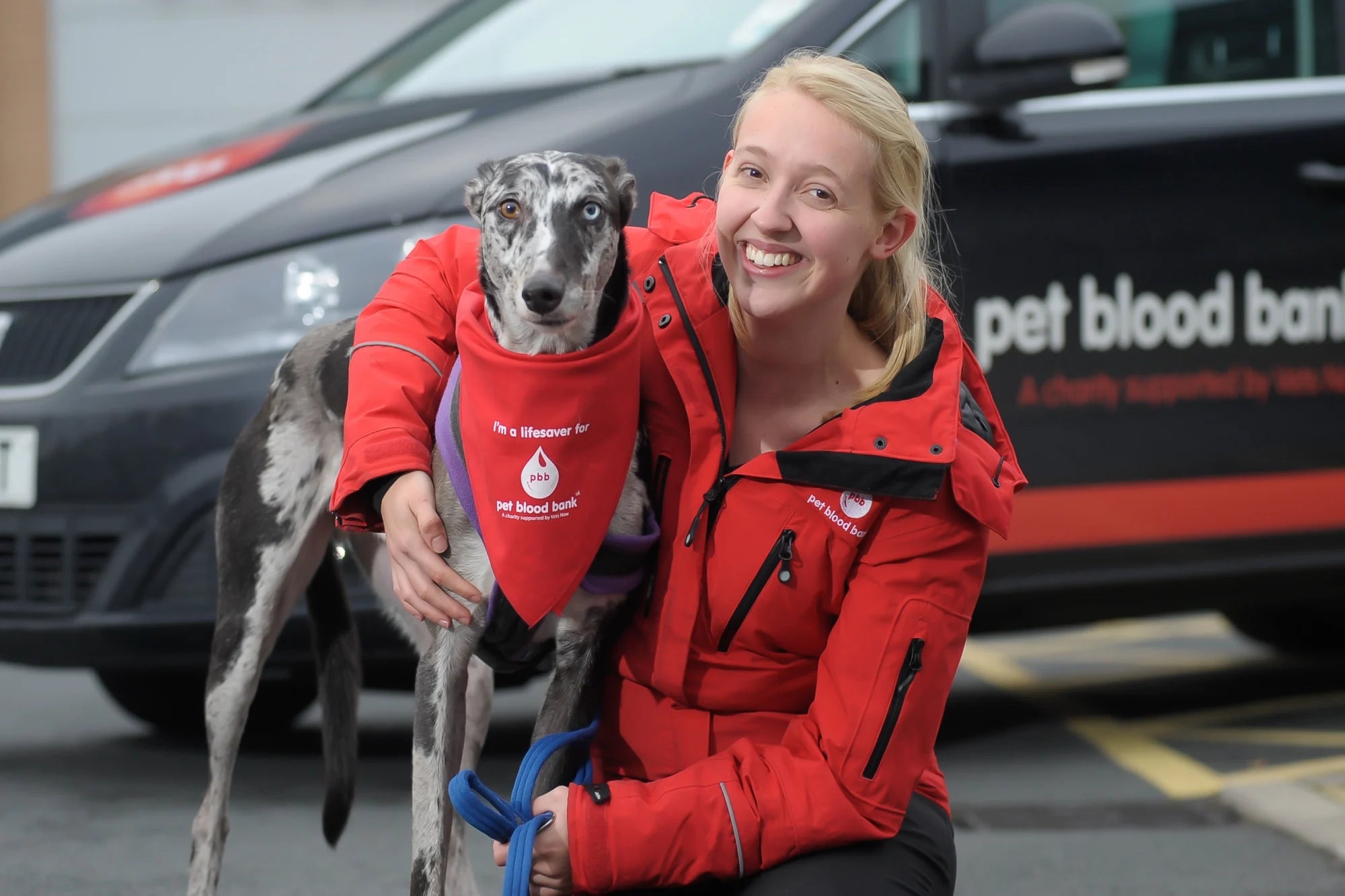 The Pet Blood Bank – Can your dog donate?