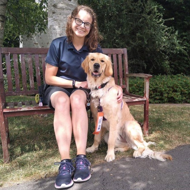 Trainee Guide Dog Pudding - Update – Ace Canine Healthcare
