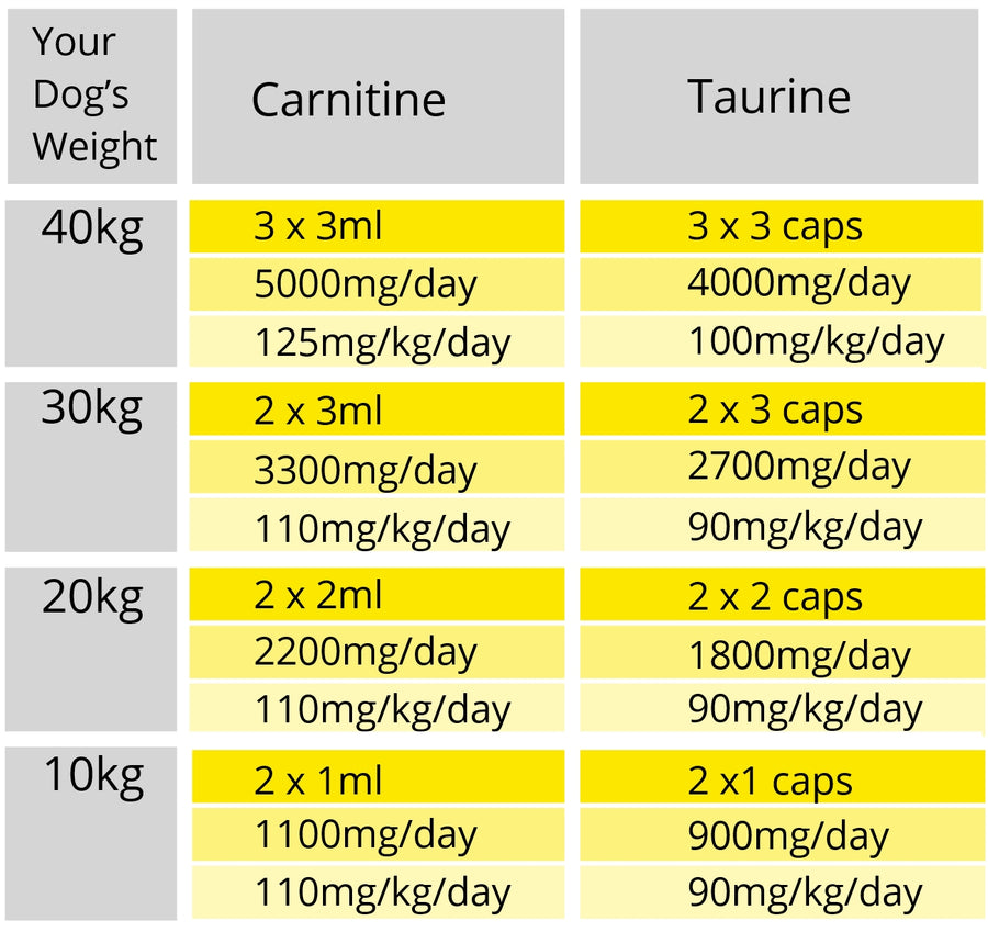 maximum dose of l carnitine per day BulkSupplements.com L-Carnitine Tartrate Powder - Amino Acid Powder, Supplement L-Carnitine Supplement for Weight Loss: