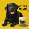 Black dog happily playing ball next to a pot of FlexSprinkles.