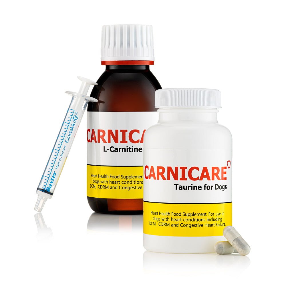 Carnicare DuoMax | L-Carnitine & Taurine Supplement for Dogs | Ace Canine Ace Canine Healthcare Carnicare DuoMax | L-Carnitine & Taurine Supplement for Dogs | Ace Canine Ace Canine Healthcare