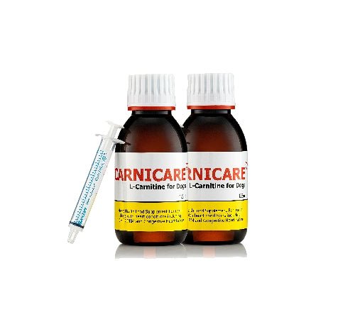 Carnicare DuoMax | L-Carnitine & Taurine Supplement for Dogs | Ace Canine Ace Canine Healthcare Carnicare DuoMax | L-Carnitine & Taurine Supplement for Dogs | Ace Canine Ace Canine Healthcare