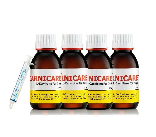 Carnicare DuoMax | L-Carnitine & Taurine Supplement for Dogs | Ace Canine Ace Canine Healthcare Carnicare DuoMax | L-Carnitine & Taurine Supplement for Dogs | Ace Canine Ace Canine Healthcare