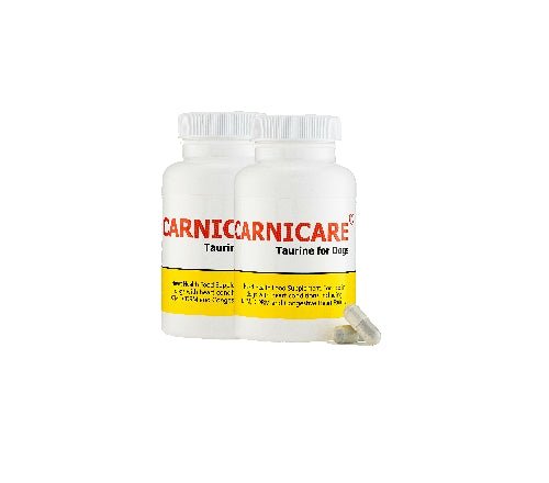Carnicare DuoMax | L-Carnitine & Taurine Supplement for Dogs | Ace Canine Ace Canine Healthcare Carnicare DuoMax | L-Carnitine & Taurine Supplement for Dogs | Ace Canine Ace Canine Healthcare