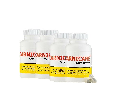 Carnicare DuoMax | L-Carnitine & Taurine Supplement for Dogs | Ace Canine Ace Canine Healthcare Carnicare DuoMax | L-Carnitine & Taurine Supplement for Dogs | Ace Canine Ace Canine Healthcare